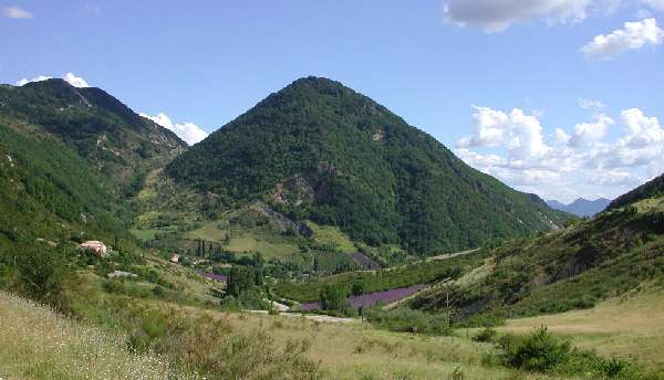 Paysage de la Drôme, petites montagnes, lavandes ...